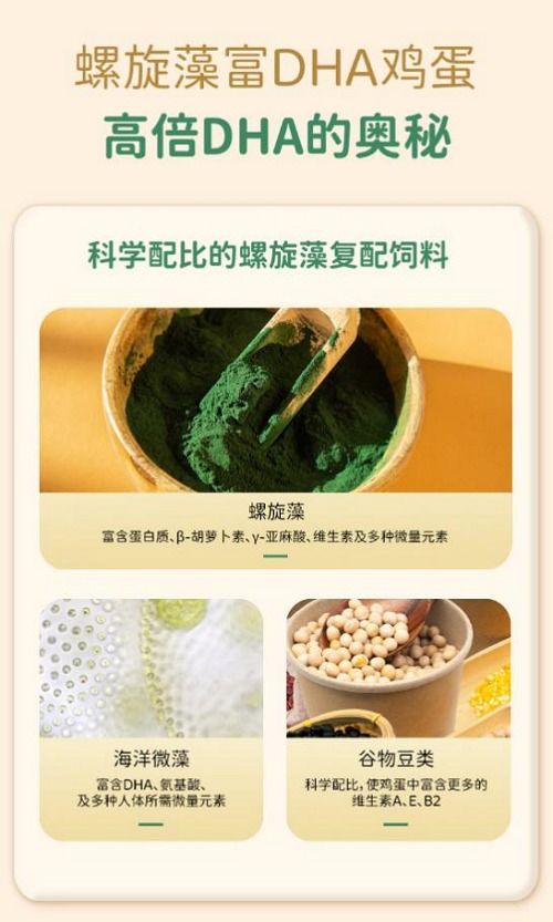 破解營養難題 農沃豐螺旋藻富dha雞蛋創新 出圈