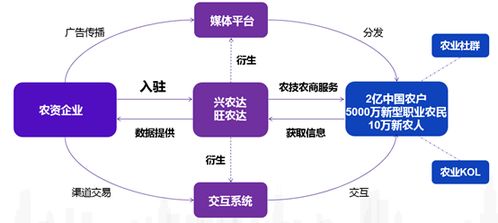 興農(nóng)達(dá)運(yùn)營(yíng)邏輯與信息系統(tǒng)運(yùn)行維護(hù)服務(wù)的深度融合